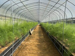 Hataくらすのアスパラハウス現在地